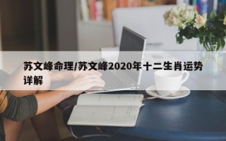 苏文峰命理／苏文峰2020年十二生肖运势详解